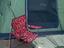 Immagine 3