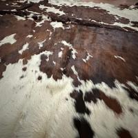 Tappeto in pelle di mucca