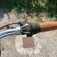 Bici uomo alpine retro