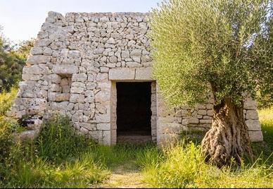 Lamia e terreno Monopoli