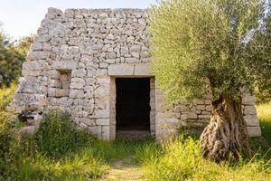 Lamia e terreno Monopoli