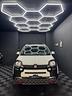 fiat-panda-4x4-cross-1-3-multijet-80cv-2015-99