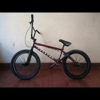 bmx professionale 