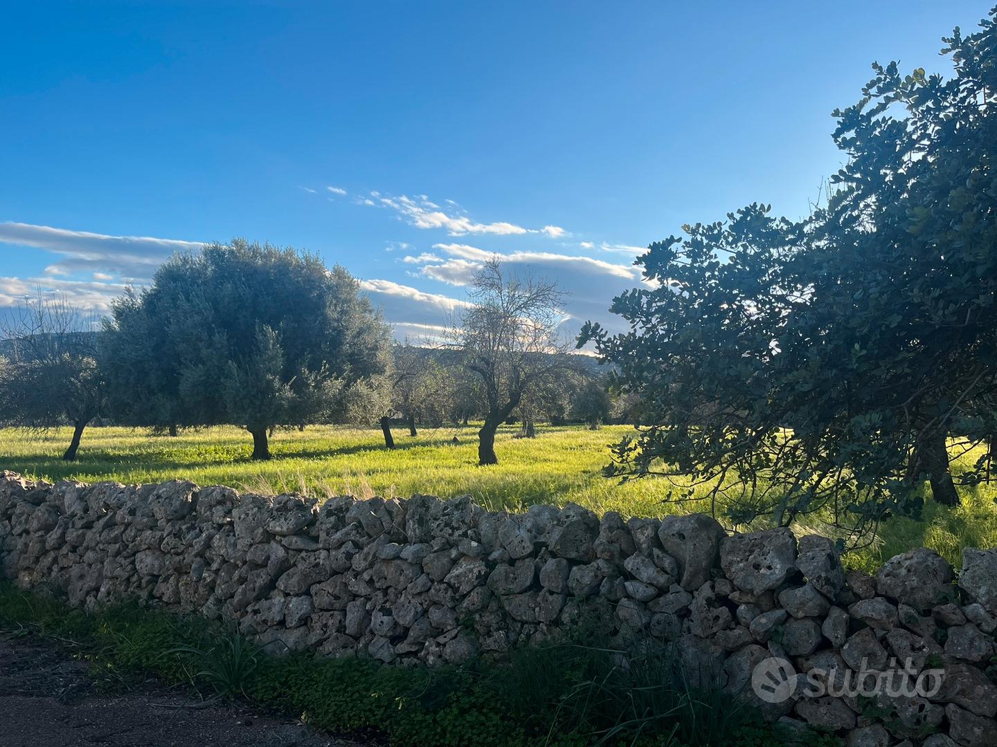 Contrada Cava Secca - Vista 5