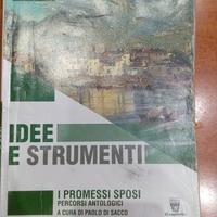 Idee e strumenti promessi sposi