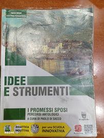 Idee e strumenti promessi sposi