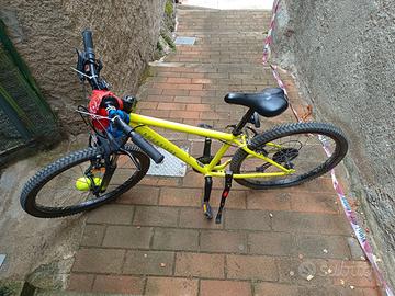 bici 24