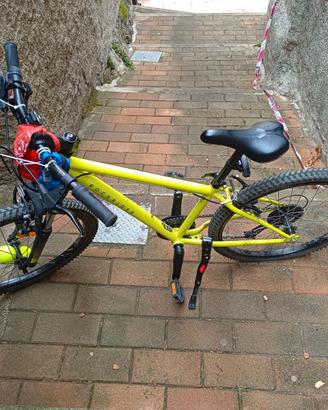 bici 24