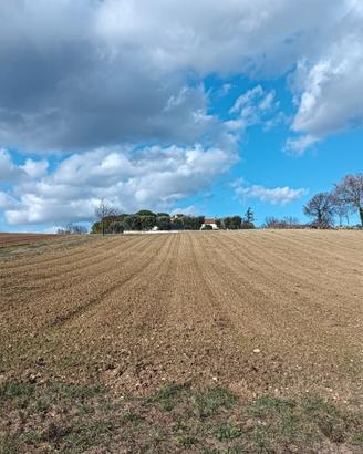 Terreno Agricolo 6 Ettari