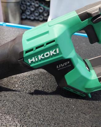 Segaccio 18 v  5 Ah 70 Tagli  Legno 50 x 250 mm