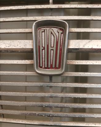 mascherina fiat 1100