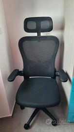 Sedia ergonomica