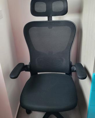 Sedia ergonomica