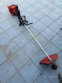 Decespugliatore
