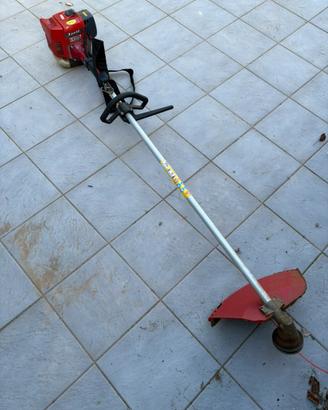 Decespugliatore