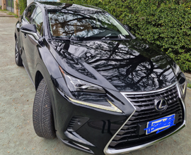 Lexus nx300 ibrida