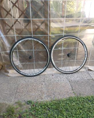 Cerchi bici 