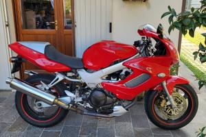 Honda VTR 1000 - 1998