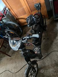 Bici elettrica biposto