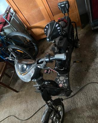 Bici elettrica biposto