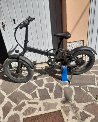 bicicletta elettrica 