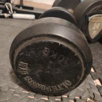 Manubri singoli di vario peso