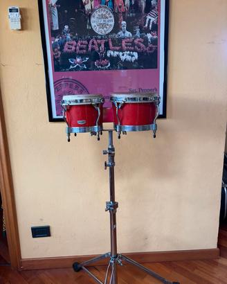 Bongo