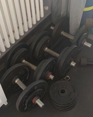 Set Pesi Palestra 28mm: 74kg Ghisa + 4 Manubri