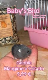 Criceto con gabbia e