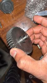 rapporti minarelli orizzontale 13 44