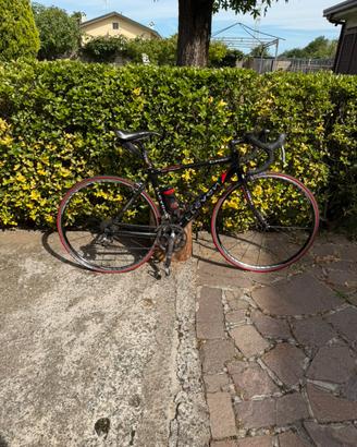 Bici da corsa eleven carbon/alluminio