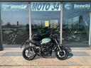 benelli-leoncino-800-2025
