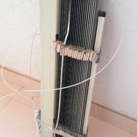 Dono veneziana con lamelle