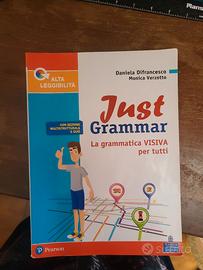 JUST Grammar La grammatica  visiva per tutti