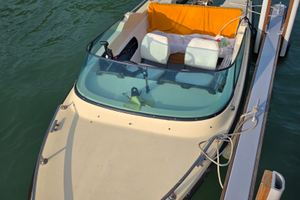 Conero Delfino 4.50 lancino