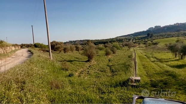 Terreno agricolo semiarbor/uliveto/pascolo