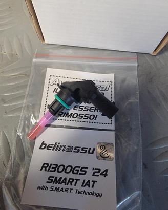 bmw r1300 gs smart jat belinassu