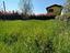Immagine 17