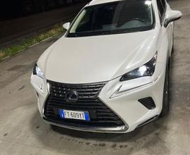 Lexus NX 300h 2.5 Business 2wd cvt