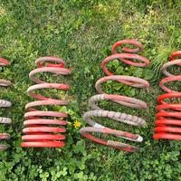 Molle assetto Punto GT