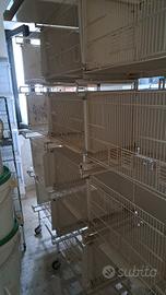 gabbie sistema carta