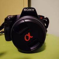 Reflex Sony Alpha 290 + Sigma 70/300