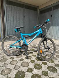 Mountain bike