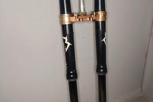 Forcelle Marzocchi Yamaha Yzf 250 06/09 50 mm