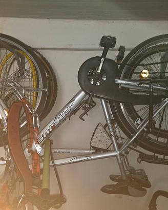 bicicletta
