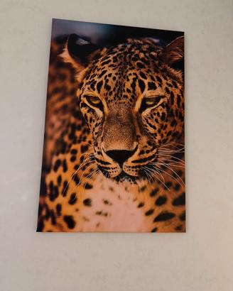 Quadro stampa su tela