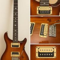 🎸 PRS SE Standard - Electric Guitar