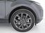 Immagine 9