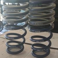 Molle assetto anteriori H&R per Bmw X5 (F15) - X6