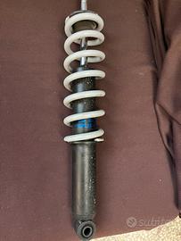 Mono ammortizzatore bmw r850r 2002>